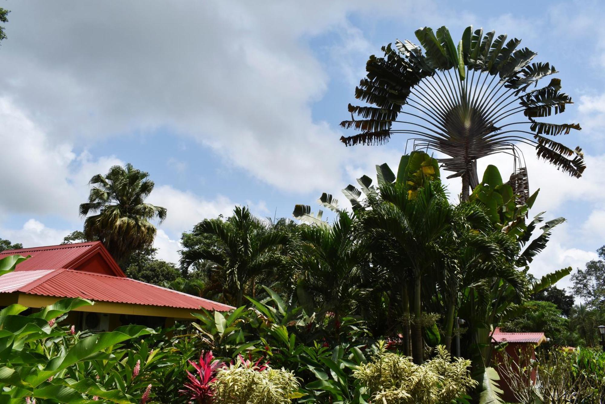 Hotel Arenal Country Inn La Fortuna Екстериор снимка